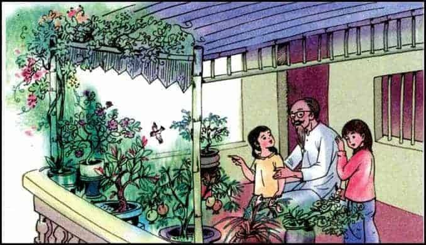 Câu chuyện về một khu vườn nhỏ - hình ảnh 1