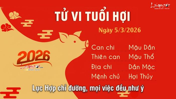 Tử vi hàng ngày 5/3/2026 của tuổi Hợi