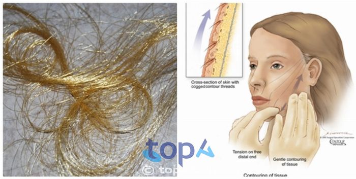 Đảm bảo áp dụng công nghệ tiên tiến và sử dụng chỉ chất lượng cao