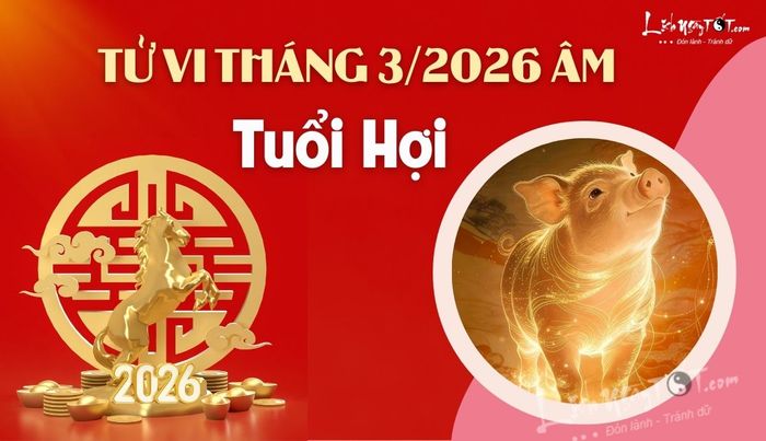 Tử vi tháng 3/2026 tuổi Hợi âm lịch
