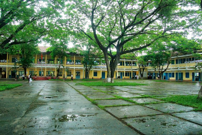 Hình ảnh 1 của Trường THPT Bình Sơn
