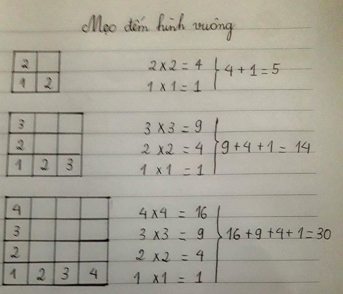 Hình minh họa số 1