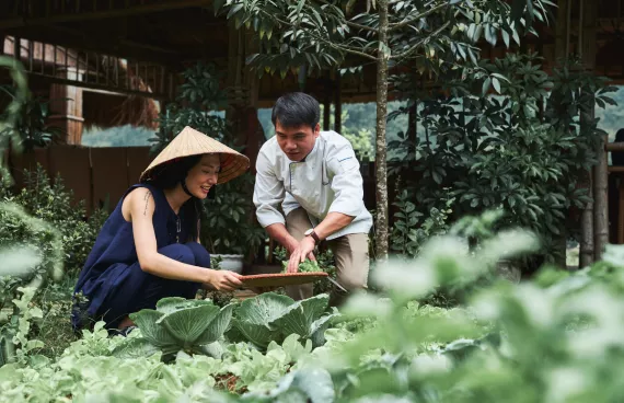 Eco-Tourism in Halong Bay 2026 4.png