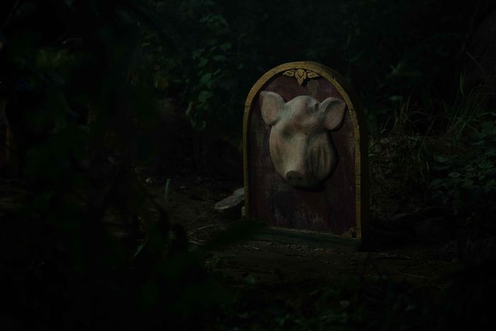 Người từng phạm nhiều tội ác trong kiếp trước sẽ bị tái sinh trong hình hài heo