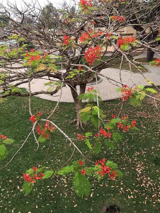 THCS Thị trấn Tân Châu ảnh 2