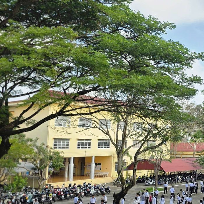 Trường THPT Chuyên Vị Thanh - Cần Thơ ảnh 1