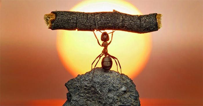 Ảnh minh họa (Nguồn internet) ảnh 1