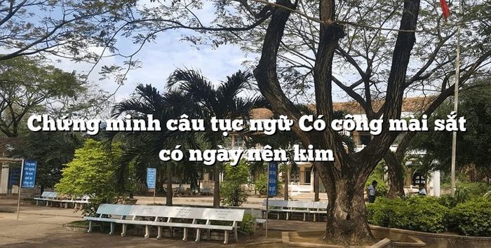 Ảnh minh họa (Nguồn internet) ảnh 1