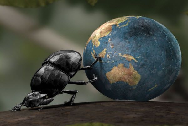 Ảnh minh họa (Nguồn internet) - hình 1