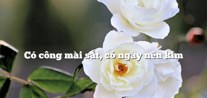 Ảnh minh họa (Nguồn internet) - hình 1