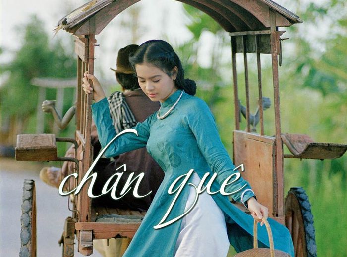 Ảnh minh họa (Nguồn internet) ảnh 1
