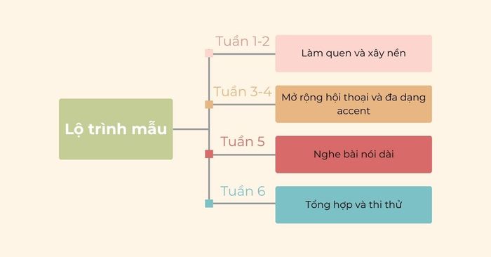 Ví dụ về lộ trình học mẫu