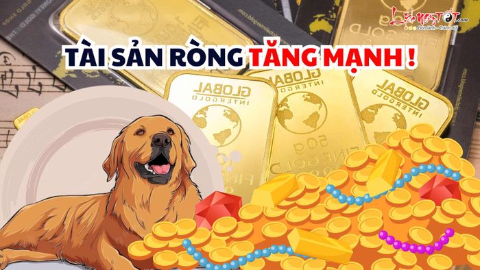 4 con giáp này chứng kiến sự gia tăng mạnh mẽ tài sản ròng vào cuối tháng Giêng 2026