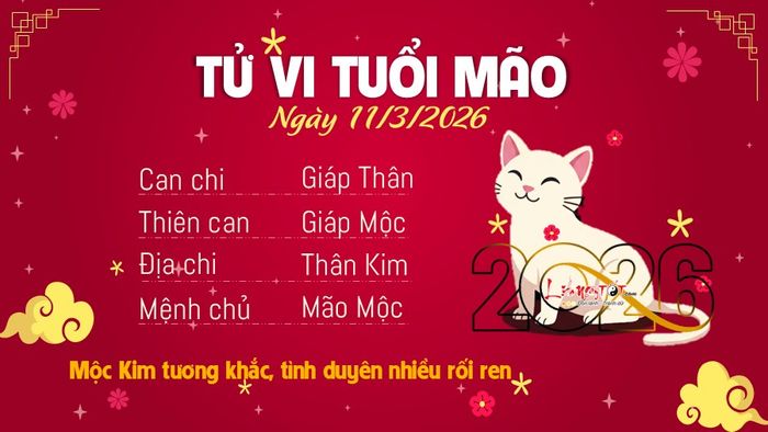 Tử vi ngày 11/3/2026 - Tuổi Mão