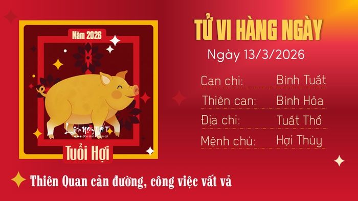 Tử vi hàng ngày 13/3/2026 - tuổi Hợi