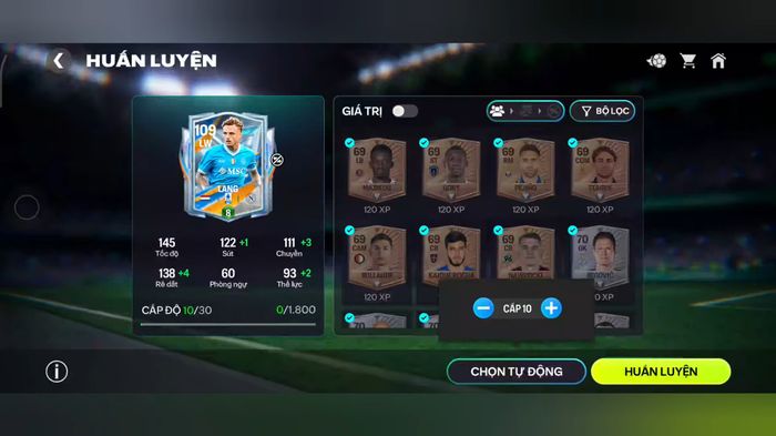 blog-image-fm_training-guide_vi05