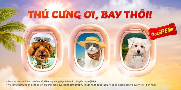 Vietjet Air: Cùng thú cưng bay cao với dịch vụ Sky Pet