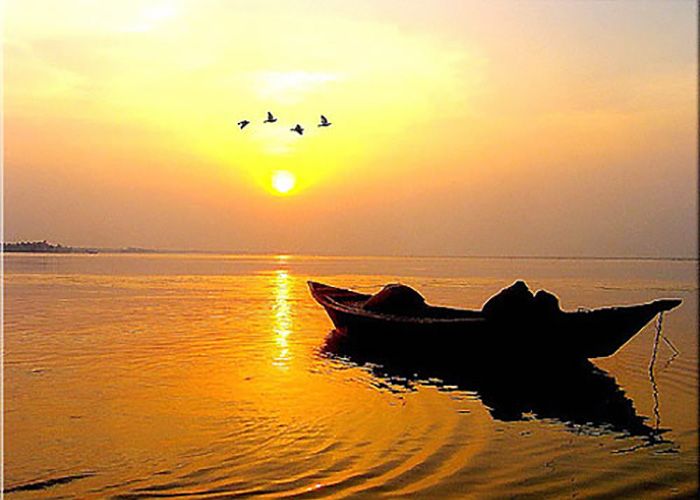 Hình ảnh minh họa (Nguồn: internet) – hình ảnh 1