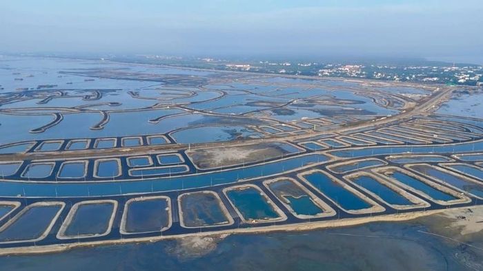 Tiến độ thi công thực tế tại dự án lấn biển Cần Giờ đang được triển khai nhanh chóng với nhiều hạng mục quan trọng đang được thực hiện.