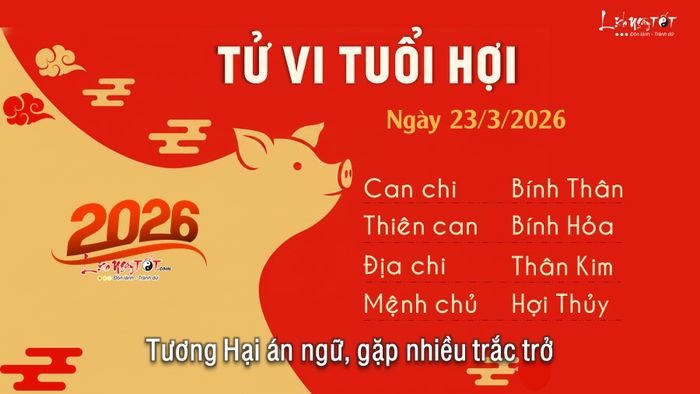 Tử vi ngày 23/3/2026 của tuổi Hợi dự báo có nhiều trắc trở với những yếu tố không mấy thuận lợi.