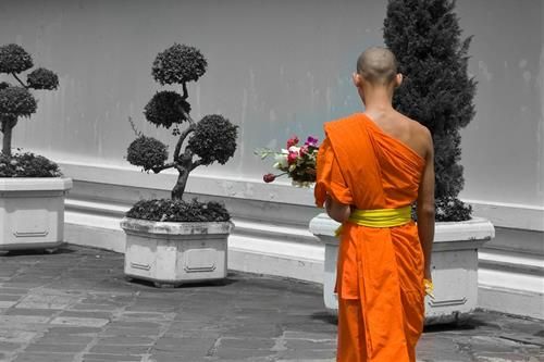 Bốn điều chấp trước nên buông bỏ.