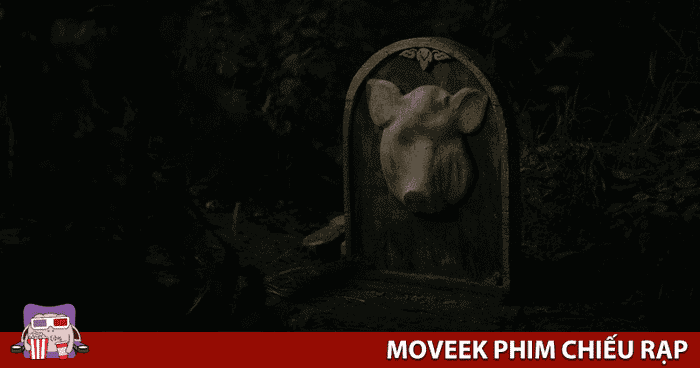 Đặt vé và kiểm tra giá vé ngay trên website Mytour