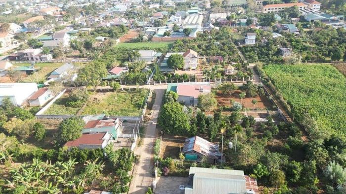 Các khu vực ngoại ô Đà Lạt đang thu hút sự chú ý