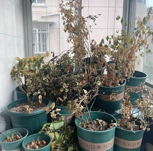 3 điềm xui trước cửa nhà