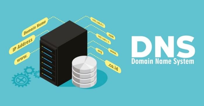dns-la-gi