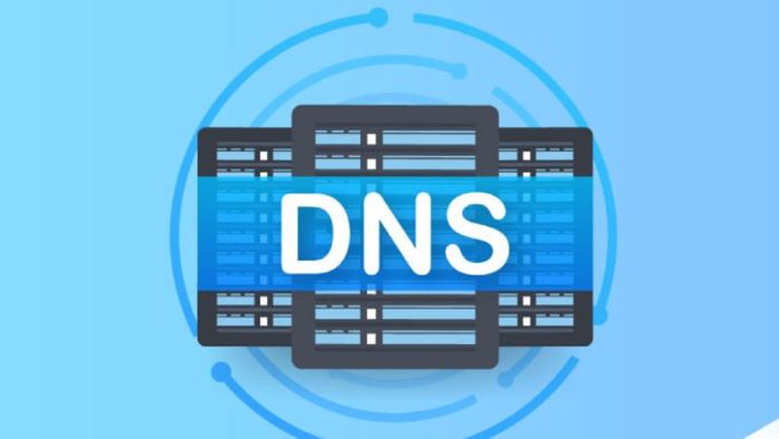 dns-la-gi-5