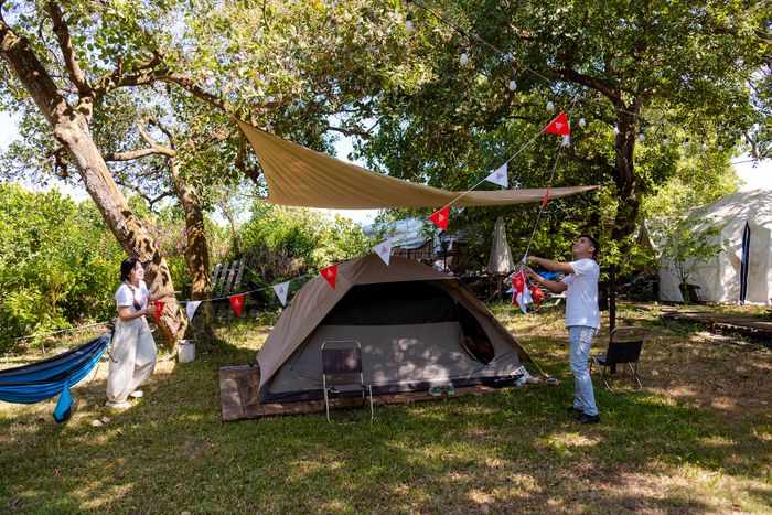 Star Camp 2026 (1).JPG