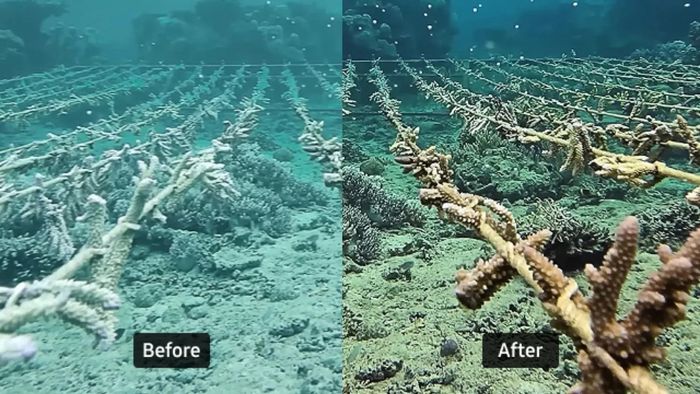 One UI 8.5 Beta đưa tính năng Ocean Mode từ S26 Ultra xuống các thế hệ tiền nhiệm.