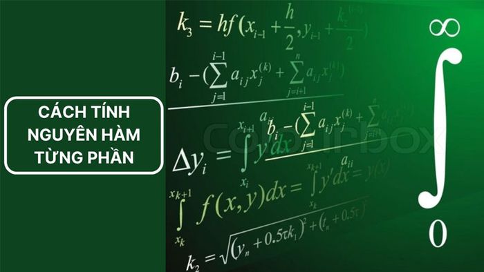 dao-ham-cua-1-x-4