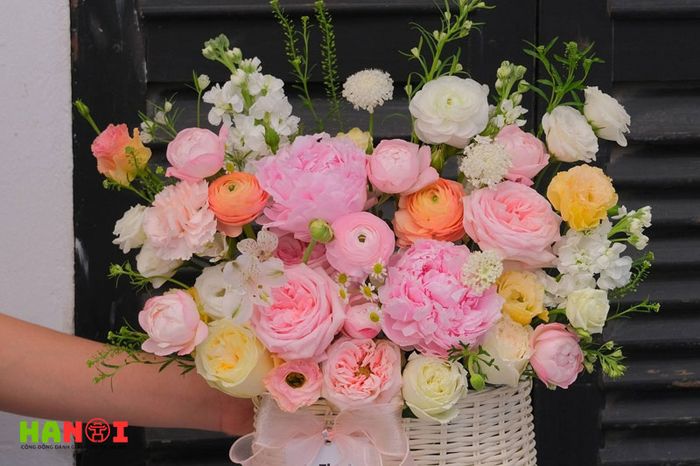 Iris-florist-Mytour