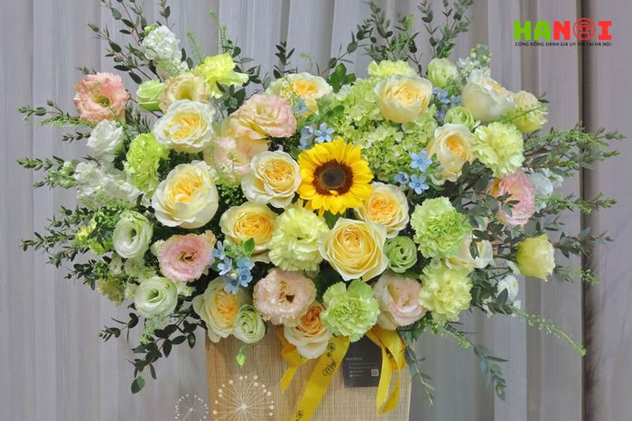 May-flower-Mytour