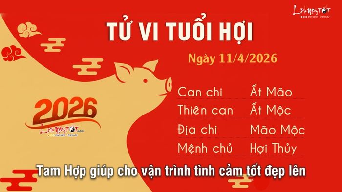 Tử vi hàng ngày 11/4/2026 của 12 con giáp - tuổi Hợi