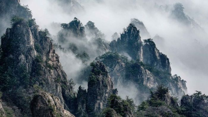 tieu-dao-5