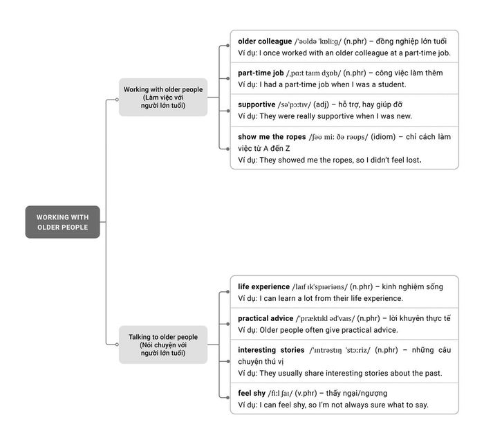 Vocabulary Analysis IELTS Speaking Part 1 Topic Working with Older People