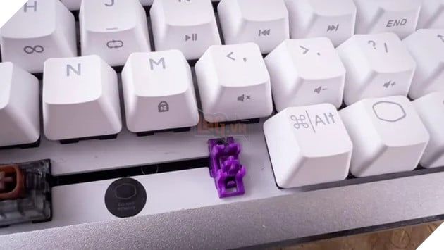 “Bảo tàng Âm thanh” của bàn phím cơ: Một sân chơi lạ lẫm cho những tín đồ mê tiếng switch