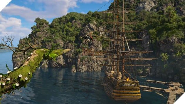 Các mức cấu hình dành cho Assassin's Creed Black FMytour Resynced 3
