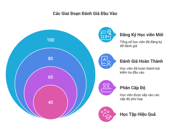 Áp dụng Placement Assessment khi: