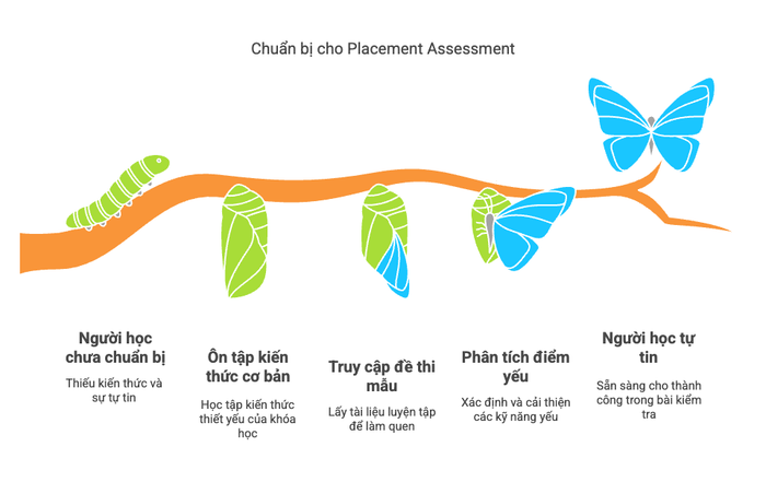 Quá trình chuẩn bị cho Placement Assessment