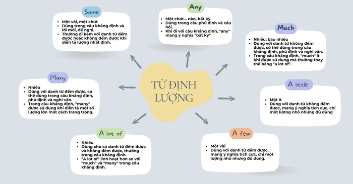 lý thuyết về some any much many a lot of a few a little