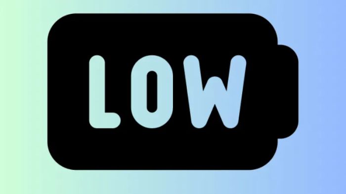 low-1