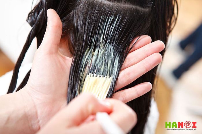 Venus-hair-salon-Mytour
