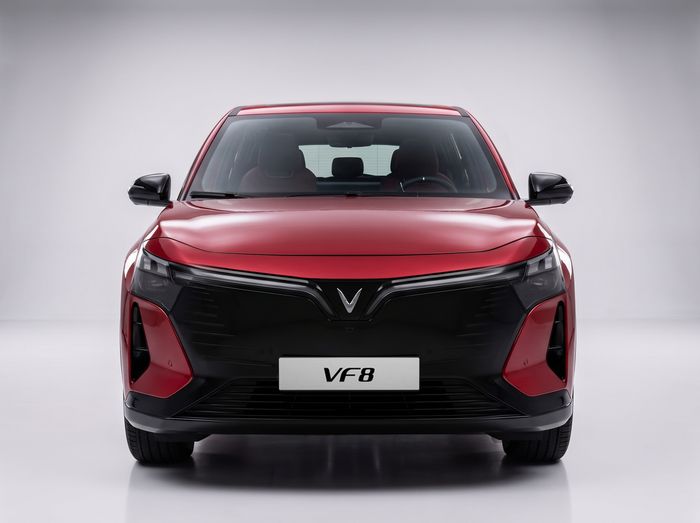 VF 8 1 (1).jpg