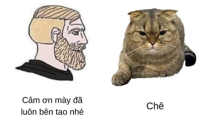 30 meme hài hước không thể bỏ qua - số 4