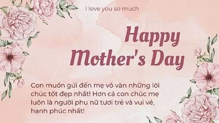 hình ảnh của người mẹ