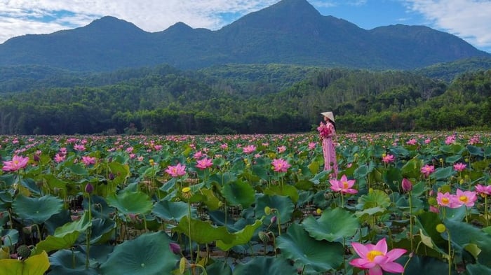 hinh-anh-lang-que-binh-yen-tinh-lang-12