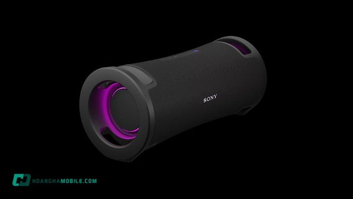Loa Sony 1